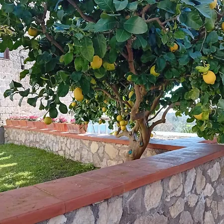 Mira Mila Massa Lubrense