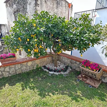 Holiday home Mira Mila